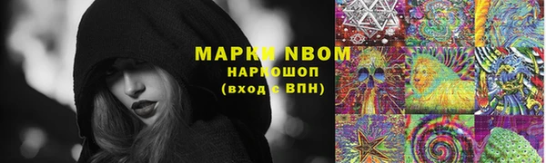 прущие крисы Ельня