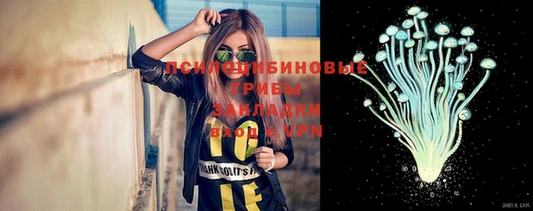 бошки Елизово