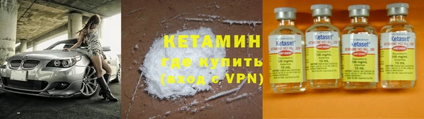 прущие крисы Ельня