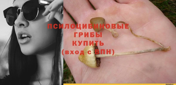 прущие крисы Ельня