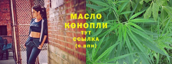 прущие крисы Ельня