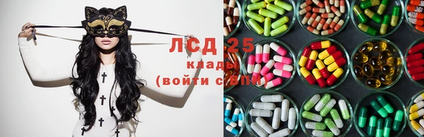 прущие крисы Ельня